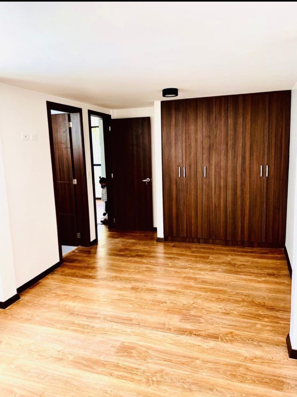 Imagen 5 del Proyecto Comercial renova