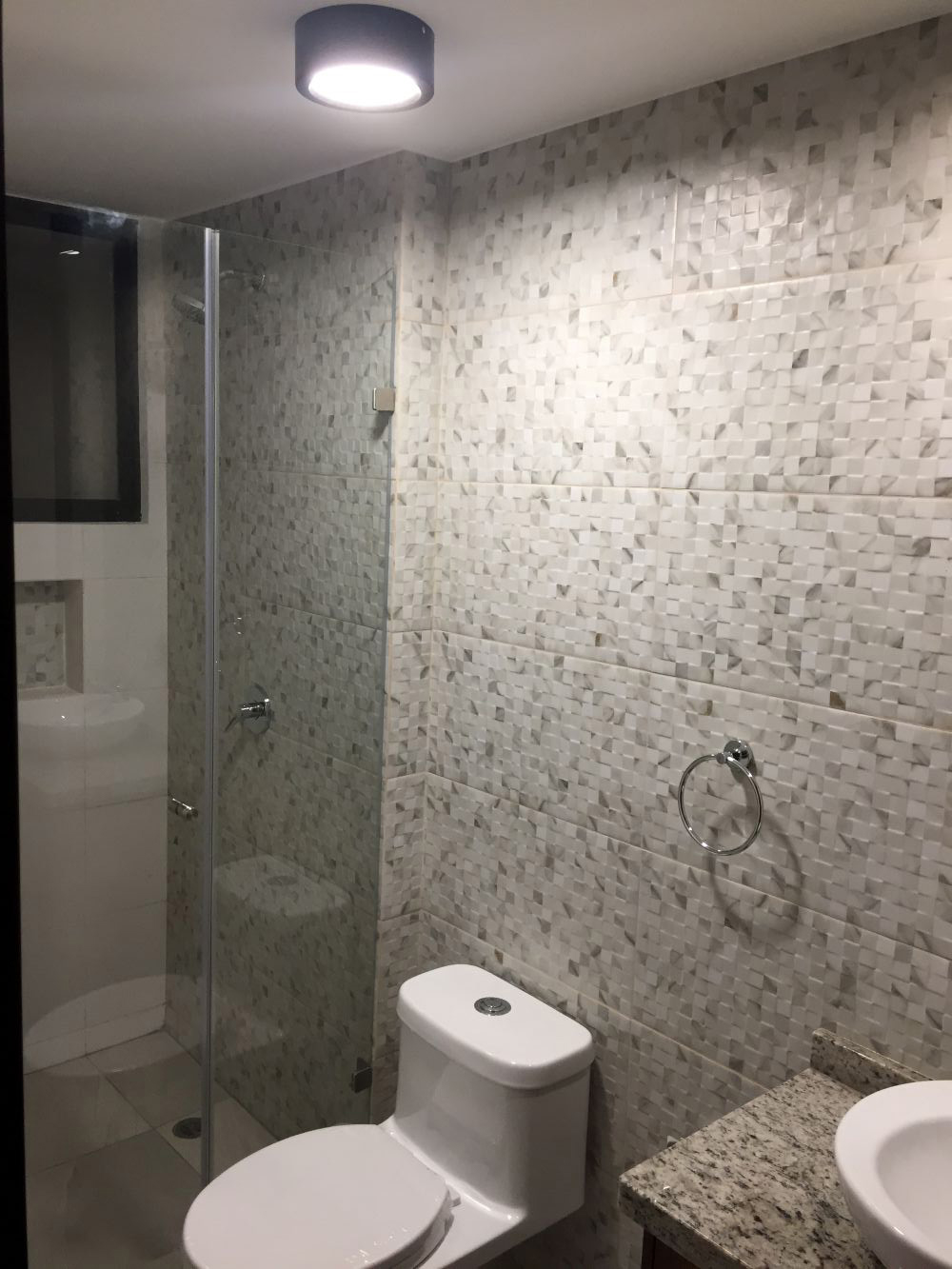 Imagen 9 del Proyecto Comercial renova